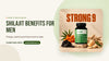Shilajit Benefits for Men: Energy, Stamina and How Much to Take