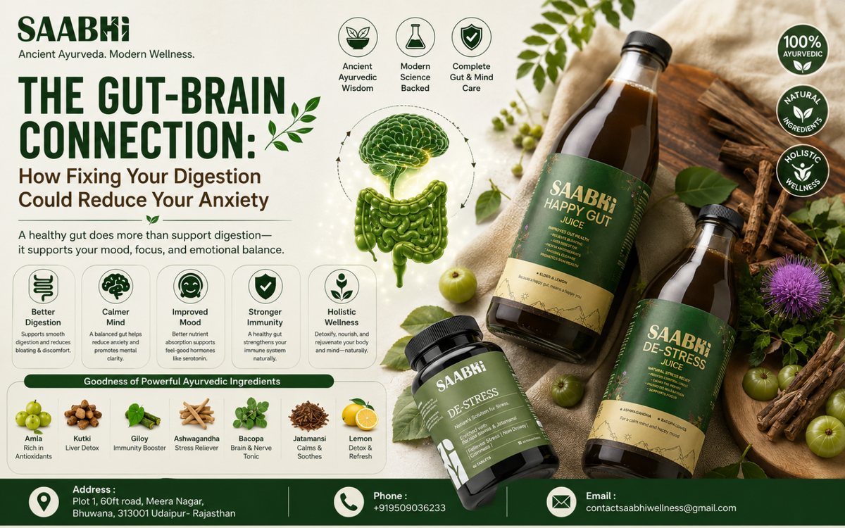 The Gut-Brain Connection: How Fixing Your Digestion Could Reduce Your Anxiety