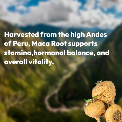 Results after 10 days