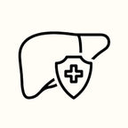 Supports Liver Health & Function