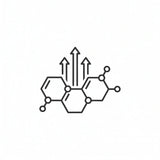 SUPPORTS HEALTHY TESTOSTERONE LEVELS, INCREASES STAMINA AND BOOST LIBIDO.
saabhi strong 9 is a multivitamin for men, formulated with 100% ayurvedic ingredients. Shilajit, moringa, maca root, ashwagandha and sea buckthorn, makes it best for men. Essentials omega 3,6,7,9, muscle strength, protein absorption, energy, endurance, vitality. A perfect combination of multivitamin for men. 