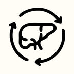 Detoxifies the liver